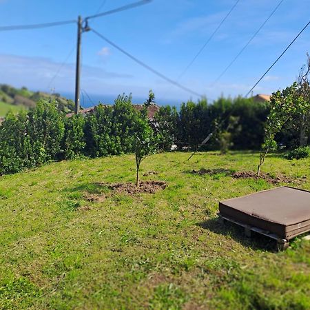 Casa Pyrrhula Murina - Private Jacuzzi Nordeste  Eksteriør bilde