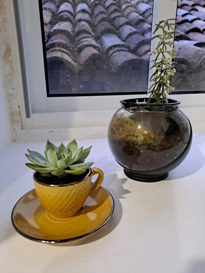 Casa Pyrrhula Murina - Private Jacuzzi Nordeste  Eksteriør bilde